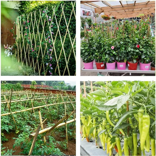 Miniatura 7 de Cambaverd Varillas de bambú para plantas, estacas de bambú de 2 pies para jardinería interior, estacas para plantas en maceta, mini árboles, estacas