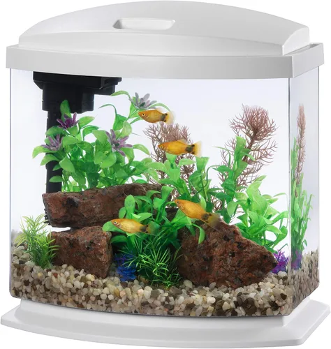 Miniatura 9 de Aqueon Kit de Acuario Pequeño LED MiniBow con Tecnología SmartClean, Azul, 1 Galón