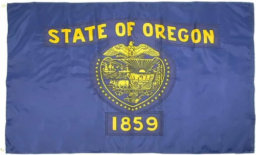 Miniatura 39 de FlagSource Bandera del estado de nailon de Iowa, fabricada en los Estados Unidos, 4 x 6 pies Iowa 4x6