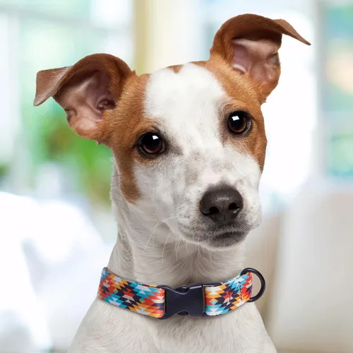 Miniatura 5 de Western Dog Collar Personalized with Serape Aztec Tribal Design, Soft & Comfortable Polyester With Quick Release Buckle - Custom Southwest Puppy