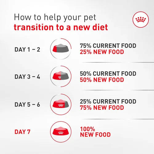 Miniatura 12 de Alimento seco para perros Royal Canin Breed Health Nutrition para Dachshund adulto, bolsa de 10 lb