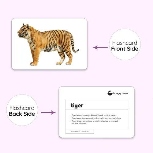 Miniatura 4 de Hungry Brain Tarjetas didácticas de números para niños pequeños de 1 a 6 años Tarjetas de aprendizaje de números educativos Montessori para bebés