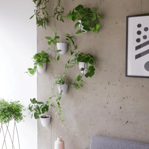 Miniatura 7 de Make Good PlantPod Luxe - Macetas de pared con riego automático (juego de 3, verde bosque), fáciles de regar e instalar, ligeras, diseña tu propio