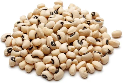 Miniatura 4 de CZ Grain Semillas de parcela de alimentos para plantar: cultiva alimentos para ciervos, pavos, alces, fesantes, codornices y otros animales Cebada