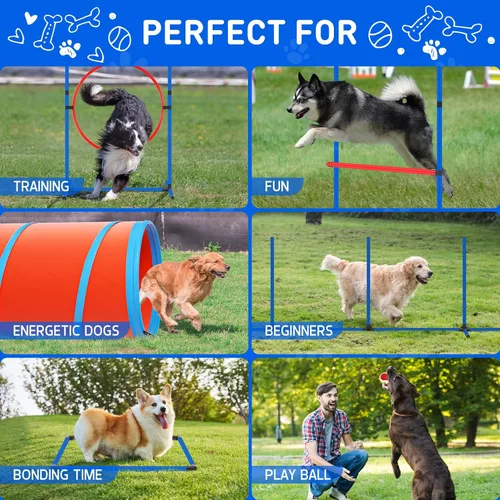 Miniatura 6 de Juego de equipo de entrenamiento de agilidad para perros, kit de entrenamiento de agilidad para carreras de obstáculos para cachorros, incluye 2