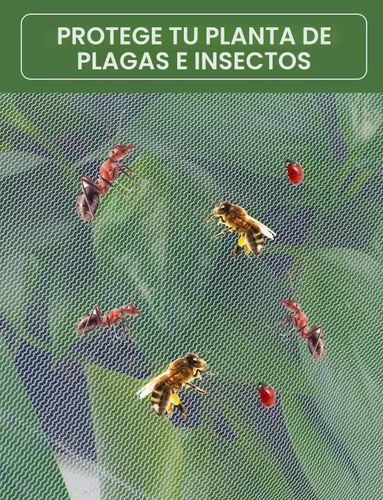 Miniatura 6 de Red para pájaros para protección del jardín, paquete de 4 redes de jardín barrera de plagas con cordón, mosquitero para tomates, cubierta protectora