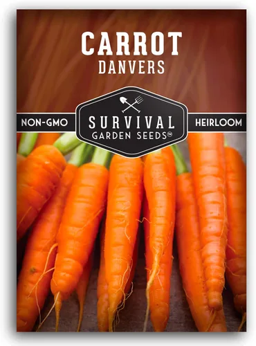 Danvers - Semillas de zanahoria – Danvers 126 zanahorias medias largas para plantar, variedad de reliquia de alto rendimiento – Sin OMG, semillas de