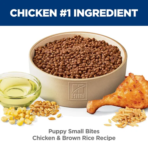 Miniatura 3 de Hill's Science Diet: alimento para cachorros, nutrición premium, croquetas pequeñas, alimento seco para perros, pollo y arroz integral, bolsa de 4.5