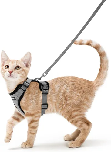 Miniatura 69 de rabbitgoo Juego de arnés y correa para gatos, arnés a prueba de escapes para paseos seguros al aire libre, chaleco suave transpirable ajustable