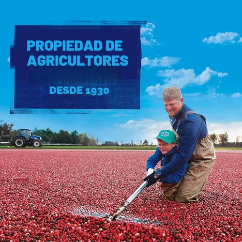 Miniatura 10 de Ocean Spray® Craisins® Arándanos Rojos Secos Originales, Fruta Seca, 48 oz
