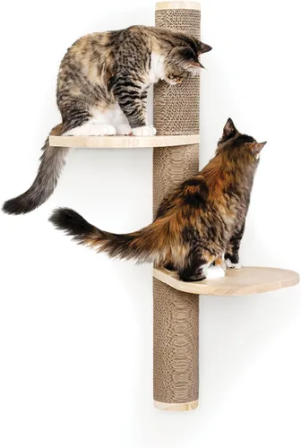 Miniatura 19 de Ascentials - Grand Suite Cat Scratcher Playground - Estructura de juego de torre alta para gatos, áreas de rascado de sisal, fieltro gris, chapa