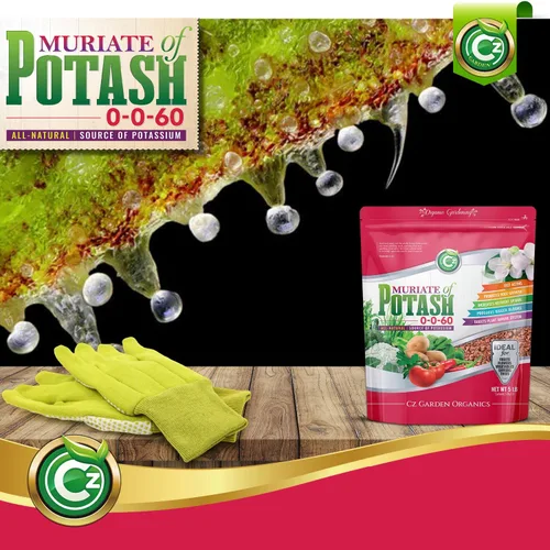 Miniatura 7 de Muriate of Potash 0-0-62 Fertilizante fabricado en Estados Unidos - MOP Potasio Plant Food para plantas de interior/exterior, jardines de flores