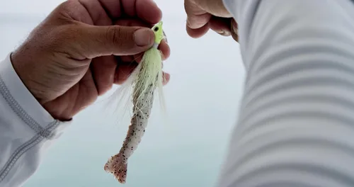 Miniatura 3 de Berkley Gulp! Shrimp Saltwater Fishing Soft Bait Camarones Naturales