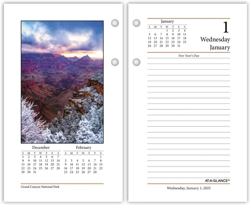 AT-A-GLANCE Recambio para calendario de escritorio 2025, diario, 3-1/2 x 6 pulgadas, estándar, hojas sueltas, fotográfico (E4175025)