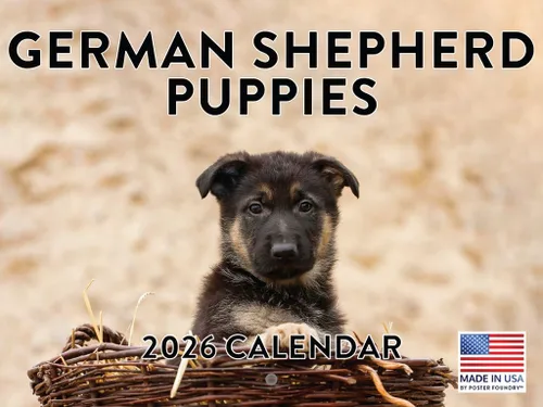 Miniatura 27 de Calendario de pared mensual 2025 Great Dane de 12 meses, fabricado en Estados Unidos