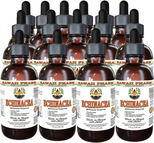 Miniatura 6 de Extracto líquido sin alcohol de equinácea, equinácea orgánica (Echinacea Purpurea) Hierba seca Glicerita Hawaii Pharm Suplemento herbario natural 32