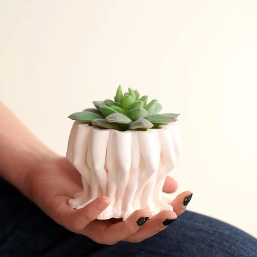 Miniatura 2 de BOOWAN NICOLE Moldes de silicona para hormigón, múltiples patas, para suculentas, para bricolaje, maceta de cara pequeña, decoración del hogar