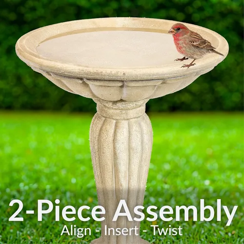 Miniatura 4 de Sunnydaze - Bañera para pájaros de hormigón de 20.25 pulgadas de alto para exteriores, columna griega, pedestal, baño para pájaros con construcción