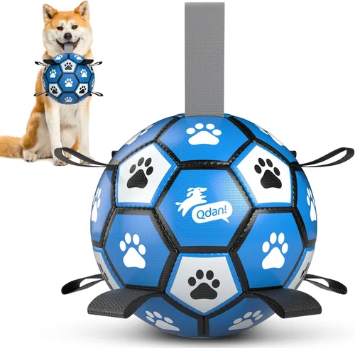 Miniatura 23 de QDAN Pelota de fútbol para perros con correas, juguetes interactivos de forcejeo, juguete de cumpleaños para cachorros, juguete acuático, para rojo