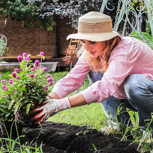 Miniatura 4 de COOLJOB - Guantes de jardinería para mujer, transpirables y con recubrimiento de goma, para exteriores, guantes de trabajo con agarre - Talla S, 2