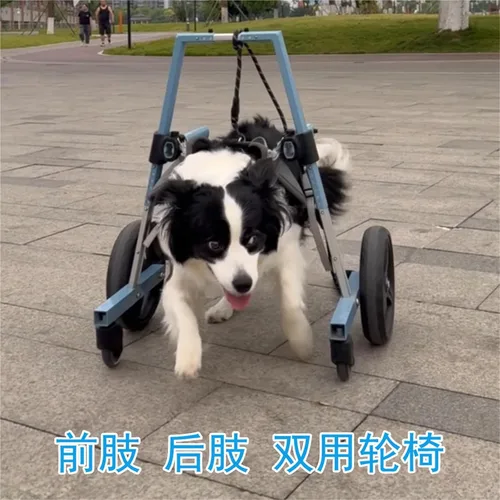Miniatura 2 de Front Leg Dog Wheelchair, with 4 Wheels, Supportive Mobility Aid, for Indoor, Outdoor Use, Assist Walking for Disabled/Injured Pets, Ready to