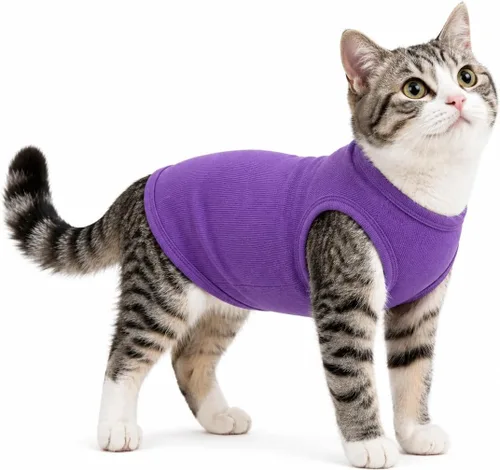 Miniatura 51 de Lovelonglong Ropa para mascotas de verano 2019, ropa para perro, camisetas en blanco, camisetas acanaladas, chalecos de hilo superior para perros