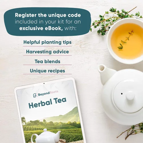 Miniatura 5 de Paquete variado de semillas de té de hierbas, 10 paquetes de semillas de hierbas medicinales, semillas de hierbas orgánicas certificadas sin OMG