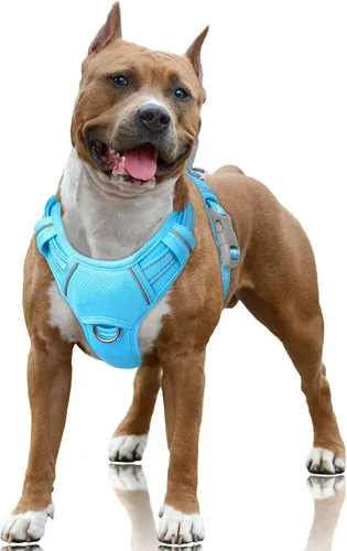 Miniatura 89 de BARKBAY Arnés para Perro Sin Tirones Talla Grande Arnés Reflectante para Perro con Clip Frontal y Asa de Control Fácil para Caminar Entrenar Correr
