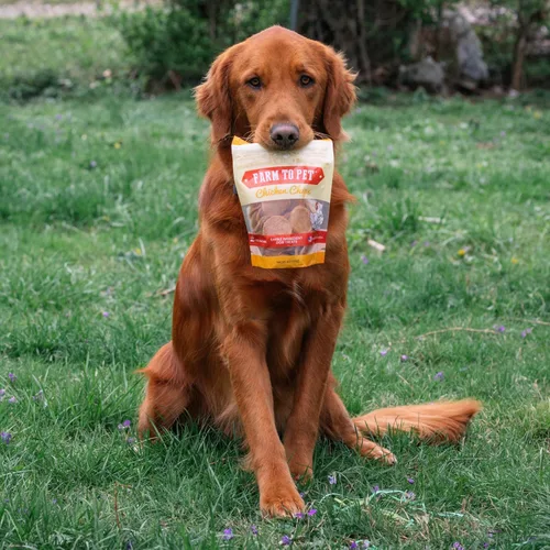 Miniatura 5 de Farm To Pet - Golosinas de entrenamiento para perros - Chips de pollo, un solo ingrediente - 4 onzas, magras, totalmente naturales, golosinas