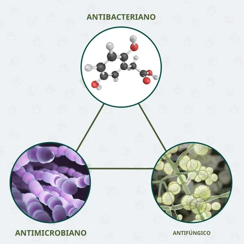 Miniatura 7 de Champú y acondicionador de avena para perros 17oz [EE.UU.] 5 en 1 a base de plantas orgánico libre de sulfatos libre de jabón sin lágrimas