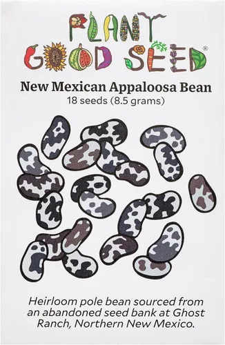 Miniatura 7 de Plant Good Seed Semillas orgánicas de frijol dragón para plantar: vegetales de arbusto de reliquia, vainas blancas y moradas - Paquete de 18 semillas