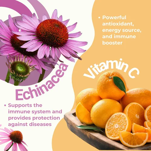 Miniatura 2 de Suplemento de apoyo del sistema inmunitario – Mezcla natural de propóleos, jalea real, equinácea y vitamina C – Mejora la salud a base de plantas 90