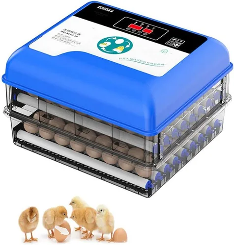 Incubadora de huevos, incubadoras digitales totalmente automáticas, control automático de temperatura de torneado de huevos, pantalla LED,