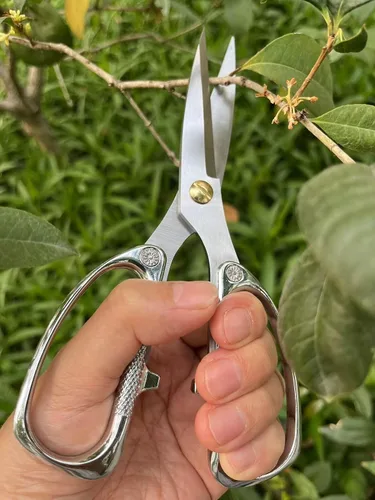 Miniatura 3 de Tijeras para plantas de interior, tijeras para recortar brotes, Japón SK5 Tijeras florales de acero inoxidable, flores, hierbas y cortadores