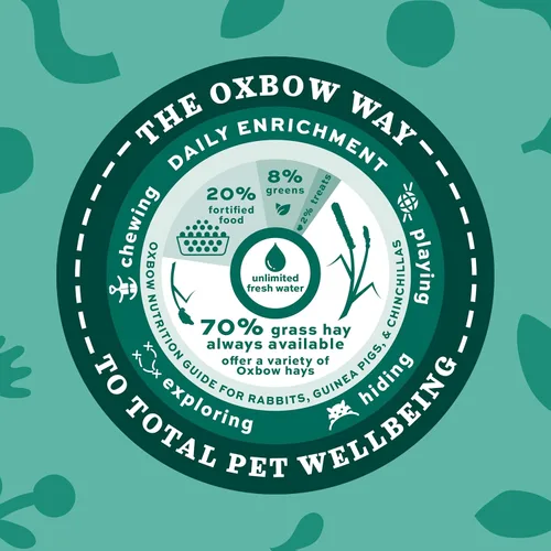 Miniatura 8 de Oxbow Essentials Alimento para Conejos, Senior, Hecho con Alfalfa Oxbow para Conejos, Pellets Ricos en Vitaminas y Minerales para Mascotas