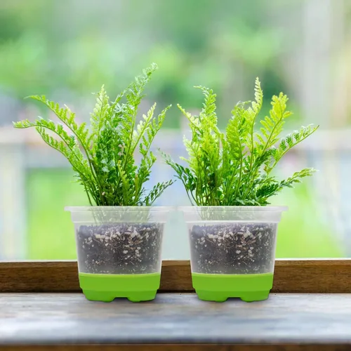 Miniatura 7 de MIXC Macetas de vivero engrosadas transparentes con base de silicona para fácil trasplante, 30 paquetes de 4 pulgadas, maceta transparente Verde
