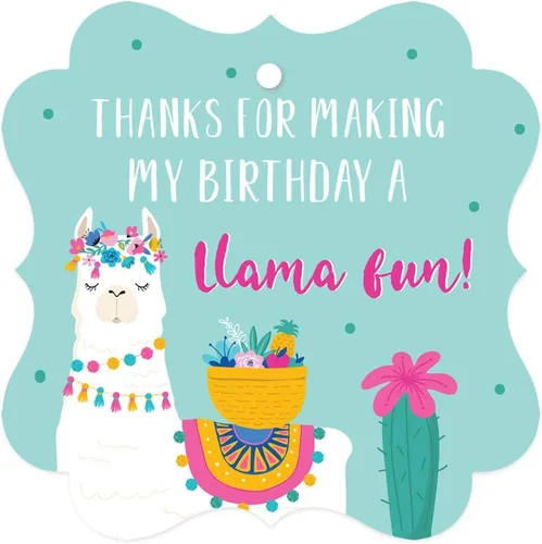 Miniatura 20 de Andaz Press Fiesta de cumpleaños de llama y cactus, banderín colgante personalizado con cuerda, cumpleaños número 16 de Emma, 5 pies, 1 juego