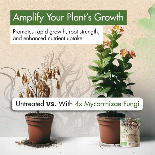 Miniatura 2 de Micorrizas 4X de 4 onzas para plantas – Inoculante de micorrizas – Potenciador de raíces y Myco concentrado, micorrizal superior para plantas, polvo