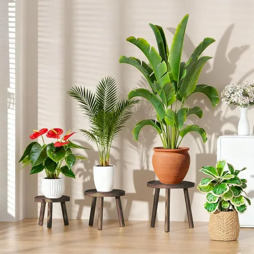 Miniatura 2 de Paquete de 3 soportes para plantas de interior y exterior, estilo moderno de mediados del siglo, taburete para plantas de madera, porta macetas