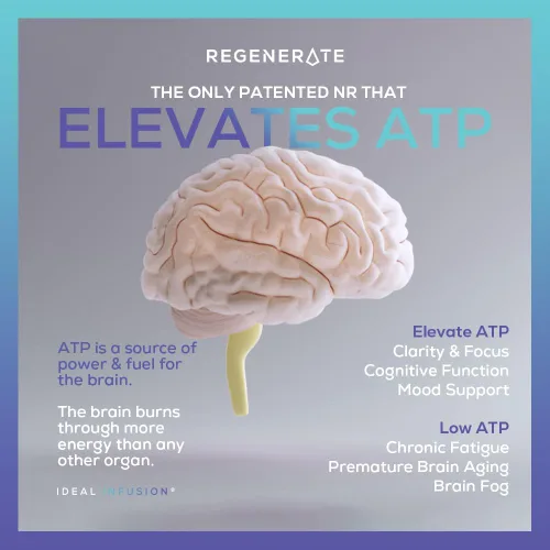 Miniatura 7 de Regenerate Suplemento de liberación sostenida para la biosíntesis de NAD y NR, aumenta el ATP, eleva el NAD +, aumenta el glutatión: salud