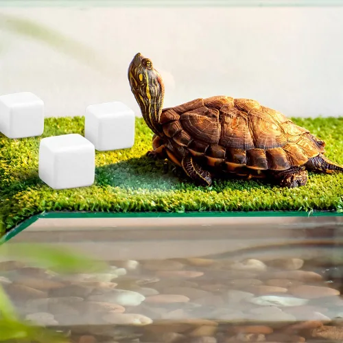 Miniatura 2 de DQITJ 24 piezas de piedra de calcio natural para reptiles de tortuga, tortuga, lagarto, rana, camaleón, reptiles