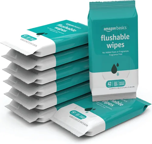 Amazon Basics Toallitas de inodoro desechables para adultos, sin fragancia, 42 unidades (paquete de 8) (total 336 toallitas) (anteriormente Solimo)