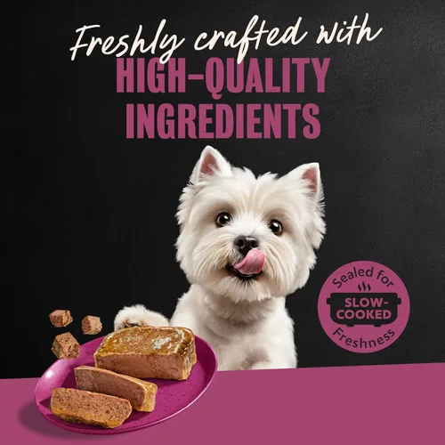 Miniatura 12 de Cesar - Comida húmeda para perros amantes de los filetes, para adultos, comida húmeda para perros con carne real, bandejas de 3.5 onzas fáciles