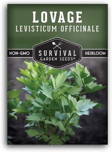 Miniatura 10 de Survival Garden Seeds - Semilla de apio para plantar - 2 paquetes con instrucciones para plantar y cultivar hierba culinaria perenne Levisticum