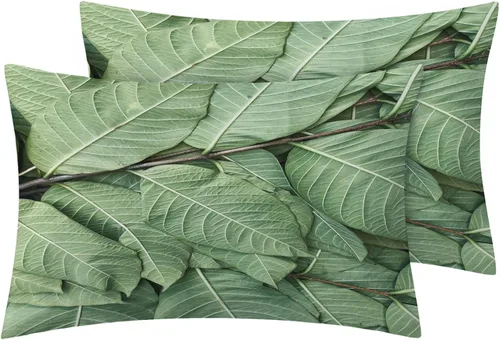 Miniatura 2 de NOGAWA Sábanas de hojas verdes, tamaño individual, sábanas de plantas tropicales, sábanas y fundas de almohada estampadas de 3 piezas, sábana bajera