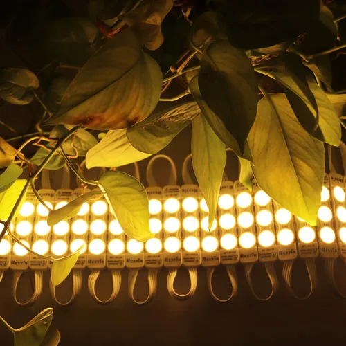 Miniatura 8 de Super brillante 110V 100pcs nuevo modelo 2835 3 LED módulo blanco cálido 120-150LM por módulo impermeable luz decorativa para letreros de letras