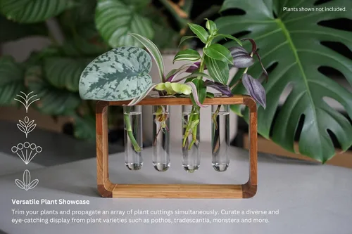 Miniatura 4 de Source & Plot Estación de propagación de plantas, soporte de madera de acacia con 4 tubos de ensayo de vidrio, estante hidropónico de mesa