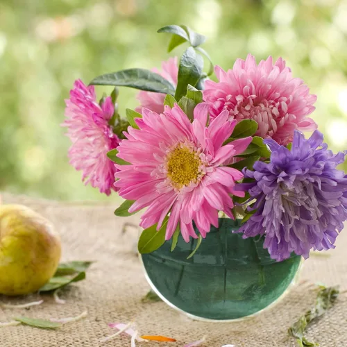 Miniatura 5 de Shihanee 8 unidades, media bola, diseño floral, de espuma seca, color verde, redondas, bolas secas, grandes para manualidades de ramos de plantas