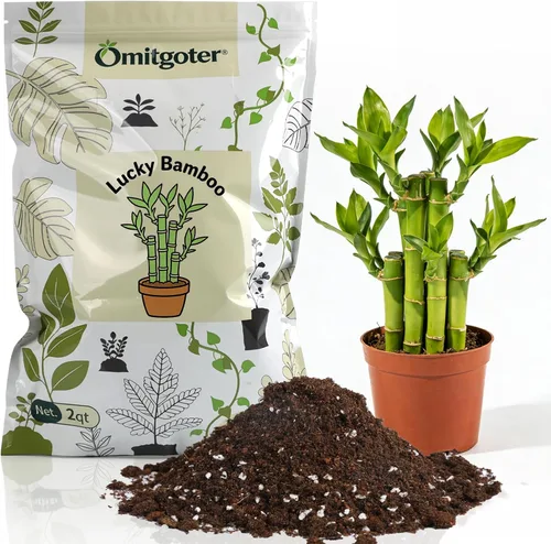 Suelo natural puro para macetas para plantas de bambú de la suerte, 1 cuarto de galón, drenaje superior y transpirabilidad, suelo ideal para plantas
