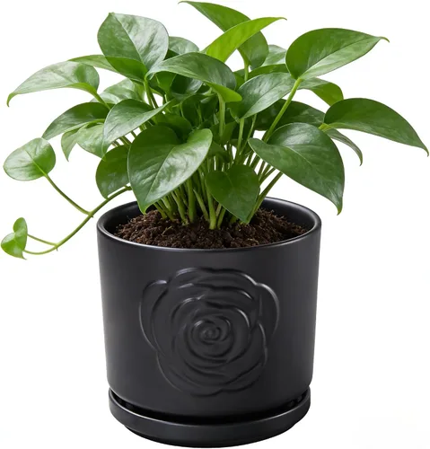 Miniatura 13 de Ekirlin - Macetas de 7 pulgadas para plantas, macetas de cerámica para flores en interiores, contenedores modernos de suculentas con plato